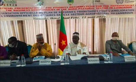 Amélioration du climat des affaires : de nouvelles réformes pour le secteur agropastoral au Cameroun