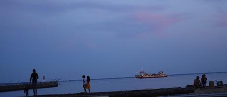 le chemin de l'estuaire