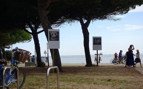 le chemin de l'estuaire