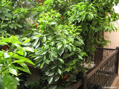 Voyage au Maroc - Riad Dama à Marrakech