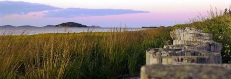 L'oeil américain / Pierre Morency L'oeil américain / Pierre Morency