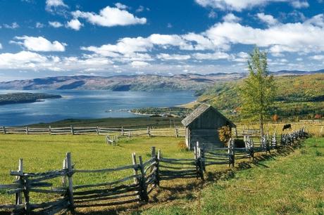 L'oeil américain /  Pierre Morency