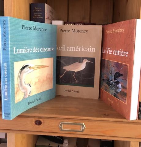 L'oeil américain / Pierre Morency L'oeil américain / Pierre Morency