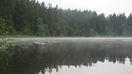 Parfum d'Été Meurtrier