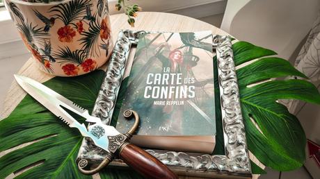 [Lecture] La Carte des confins : Une histoire de pirates passionnante !