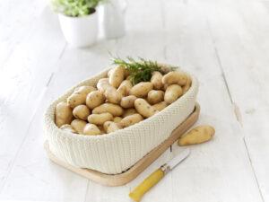 pomme de terre panier maille pomme de terre panier maille