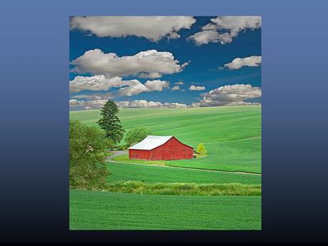 Divers - De sublissimes photos - 3