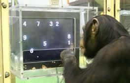 images Out of the box