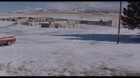 Certaines femmes Certaines femmes