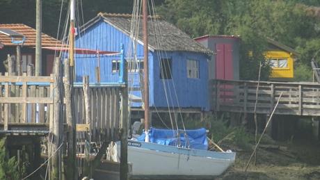 Coup d’œil matinal sur Mornac