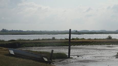 Coup d’œil matinal sur Mornac