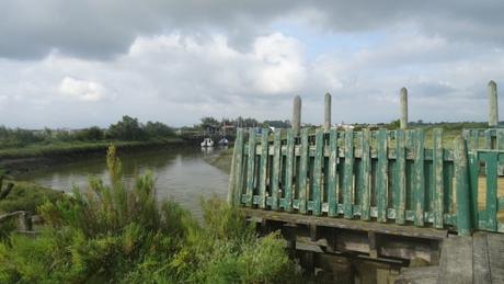 Coup d’œil matinal sur Mornac