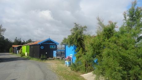 Coup d’œil matinal sur Mornac