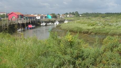 Coup d’œil matinal sur Mornac