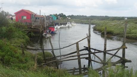 Coup d’œil matinal sur Mornac