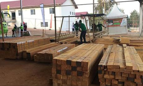 Cameroun : Un apprenti scieur égorge son formateur