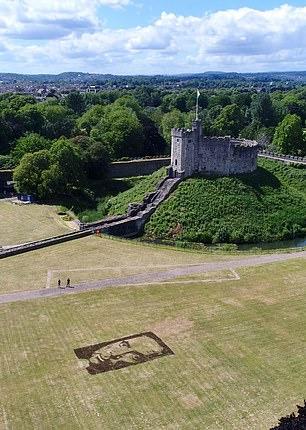 14. Verge of génie: Avec un Welsh Green, Green Grass chanteur