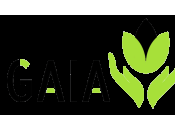 solutions Canna Stream Gaia Grow reçoivent heures soutien développement commercial pour travail d’analyse marché produits futurs