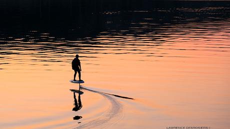 Il a donné son spectacle au quai...