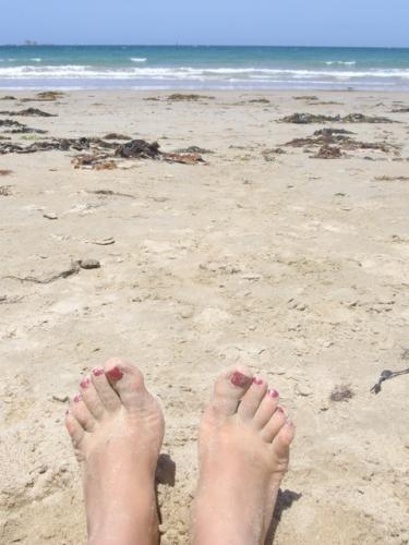 Catastrophe informatique et autres bonheurs Catastrophe informatique et autres bonheurs