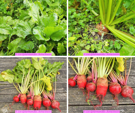 Sauce betteraves-carottes-wasabi pour spaghettis (Vegan)