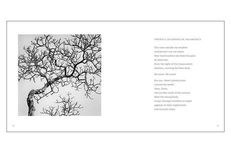 PETRA BARTH – ANDERSWO / ELSEWHERE PETRA BARTH – ANDERSWO / ELSEWHERE