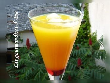 Téquila Sunrise et Nems de saumon et chèvre frais Téquila 3.jpg