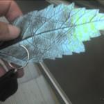 Comic Con feuille arbre bon