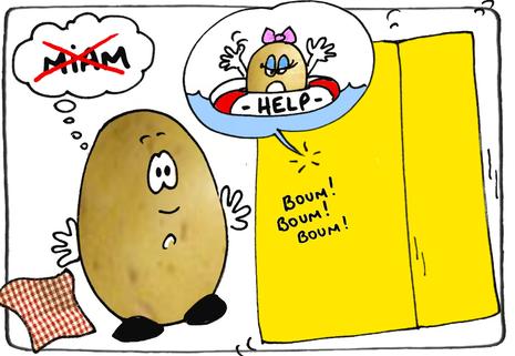 cliquez pour agrandir