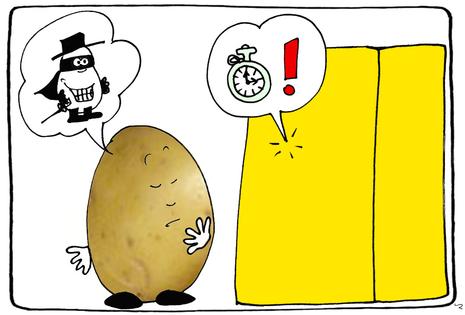 cliquez pour agrandir