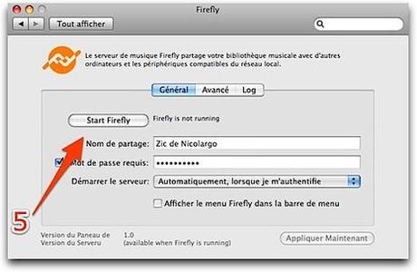Firefly-2.jpg