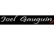 feux d'artifices pour réussir mariages fêtes sont chez "Joel Gauguin artifices"