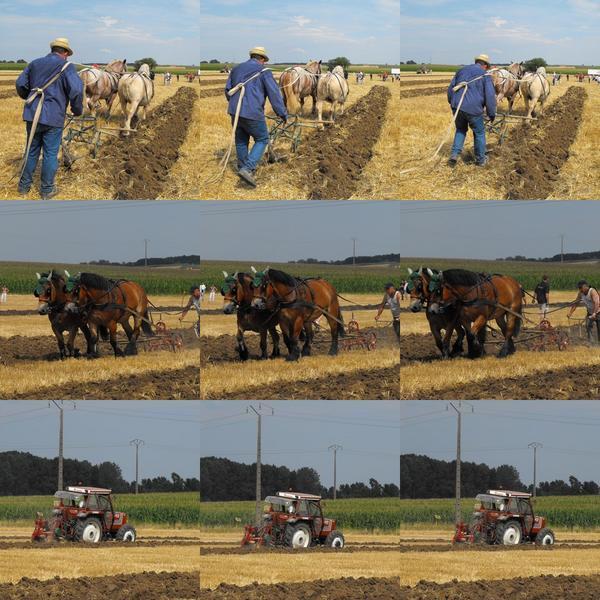 Un dimanche à la campagne