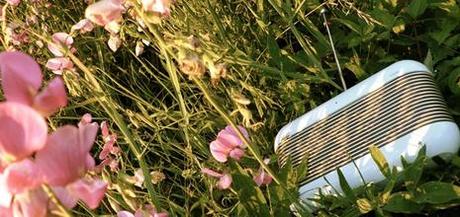 Ondes Vertes - 2/8 août’08