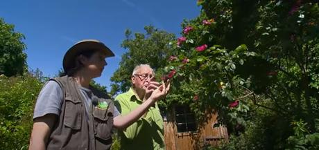 Visite du jardin d'André Eve