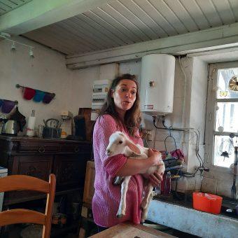 Aurélie Lecourbe et un jeune agneau © Patrick Faus .