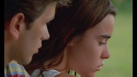 Les roseaux sauvages Les roseaux sauvages