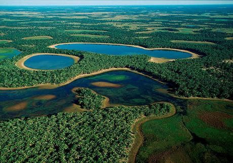 Le Brésil : Perte de 1/6ème de ses zones couvertes d’eau douce