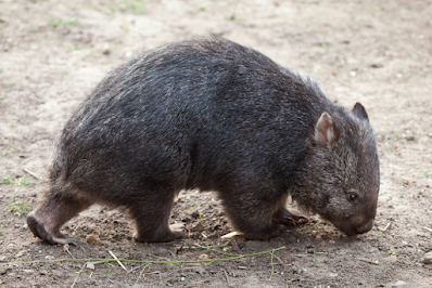 Un premier tour du monde, 42e partie