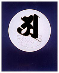 Ajikan