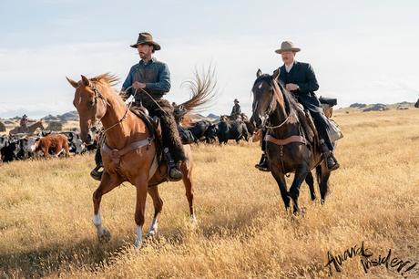 Premier teaser trailer pour Le Pouvoir du Chien de Jane Campion