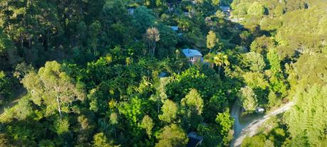Un exemple de permaculture syntropique