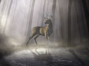 conscience brille quand tout éteint