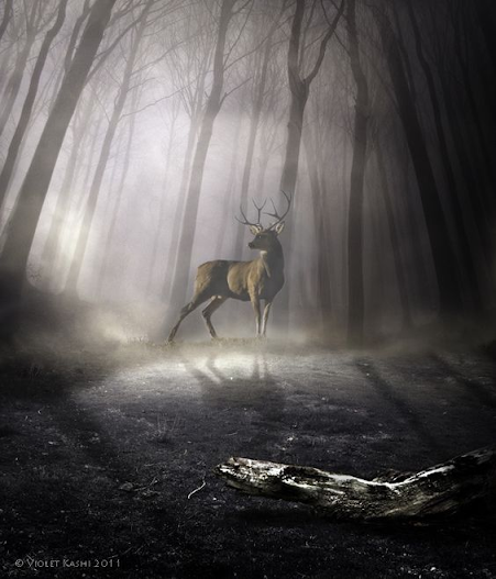 La conscience est ce qui brille quand tout est éteint La conscience est ce qui brille quand tout est éteint