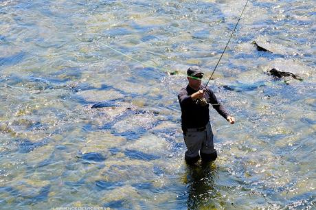Le pêcheur à la mouche et sa ligne… #Photographie #Matane
