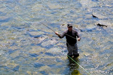 Le pêcheur à la mouche et sa ligne… #Photographie #Matane