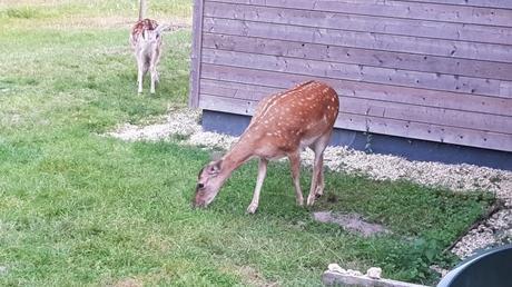 Alors, c’était bien les vacances ?