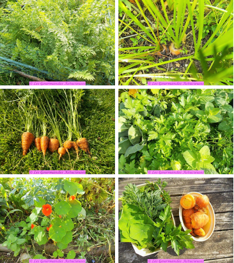 Pommes de terre farcies aux carottes (Vegan) Pommes de terre farcies aux carottes (Vegan)