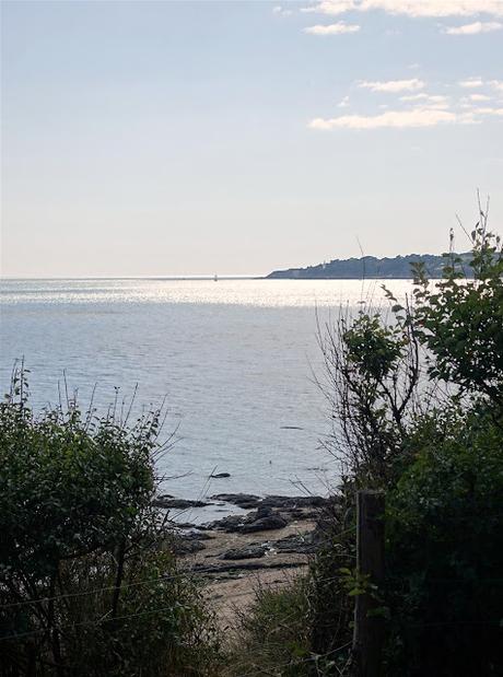 à fleur de rue à fleur de rue