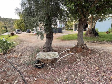 Chaque départ est un cri